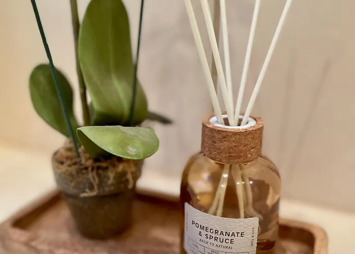 Jule Apartamento Braunlage